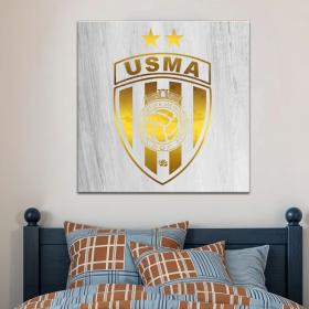 إطار أكريليك بتأثير مرآة ذهبية نمط نادي USMA